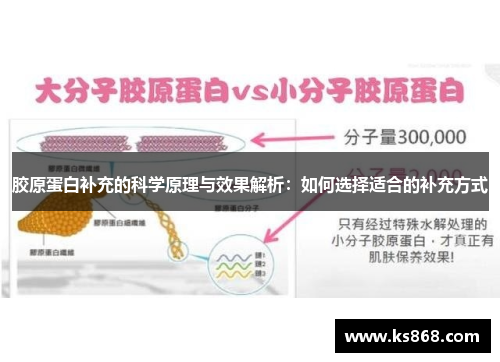 胶原蛋白补充的科学原理与效果解析：如何选择适合的补充方式